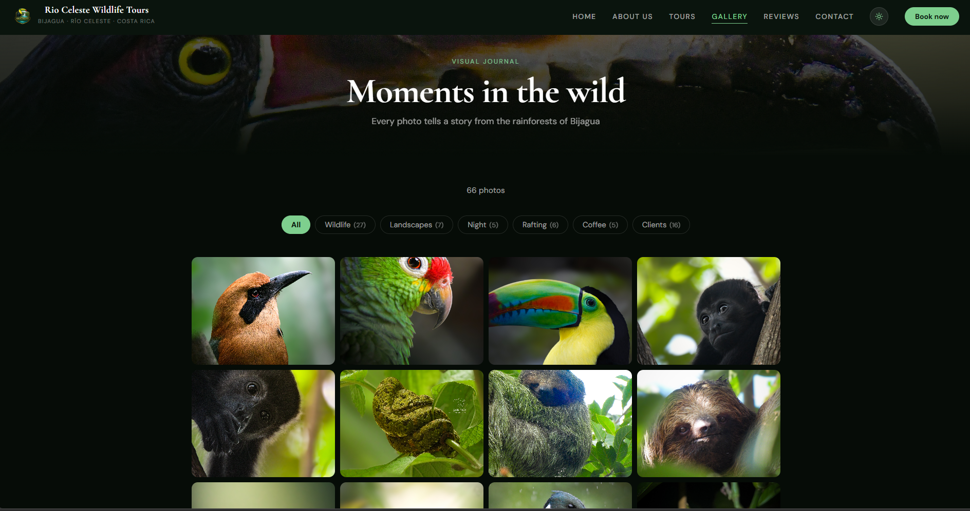 Rio Celeste Wildlife Tours — captura 3